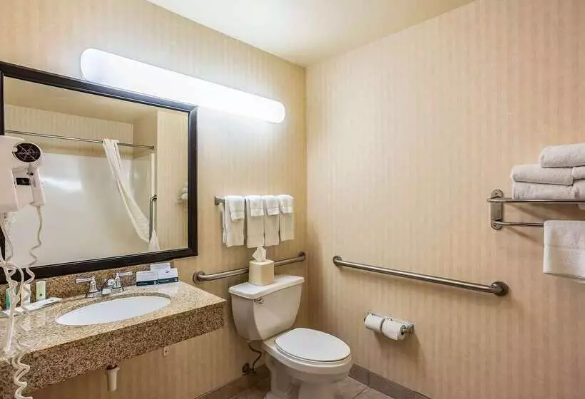 호텔 Quality Inn & Suites