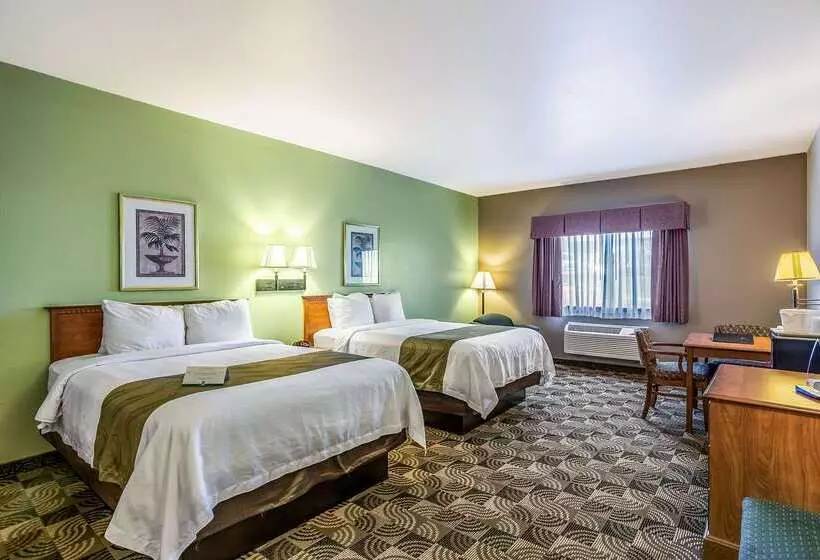 호텔 Quality Inn & Suites