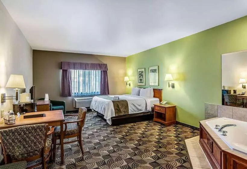 호텔 Quality Inn & Suites