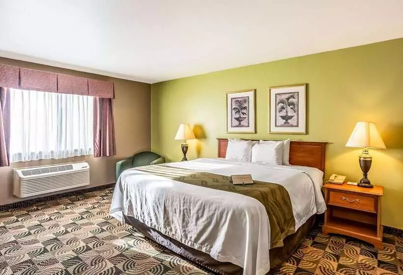 호텔 Quality Inn & Suites