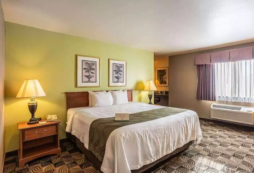 호텔 Quality Inn & Suites