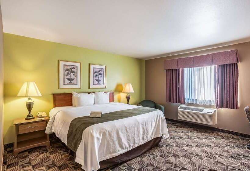 فندق Quality Inn & Suites