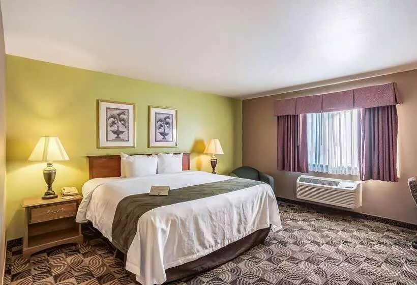 호텔 Quality Inn & Suites