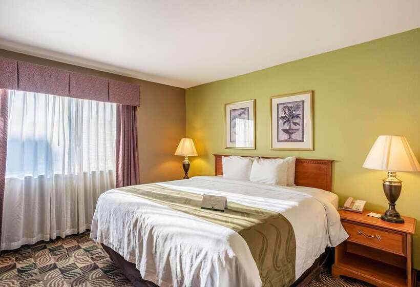 فندق Quality Inn & Suites