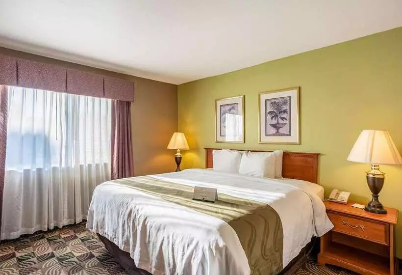 호텔 Quality Inn & Suites