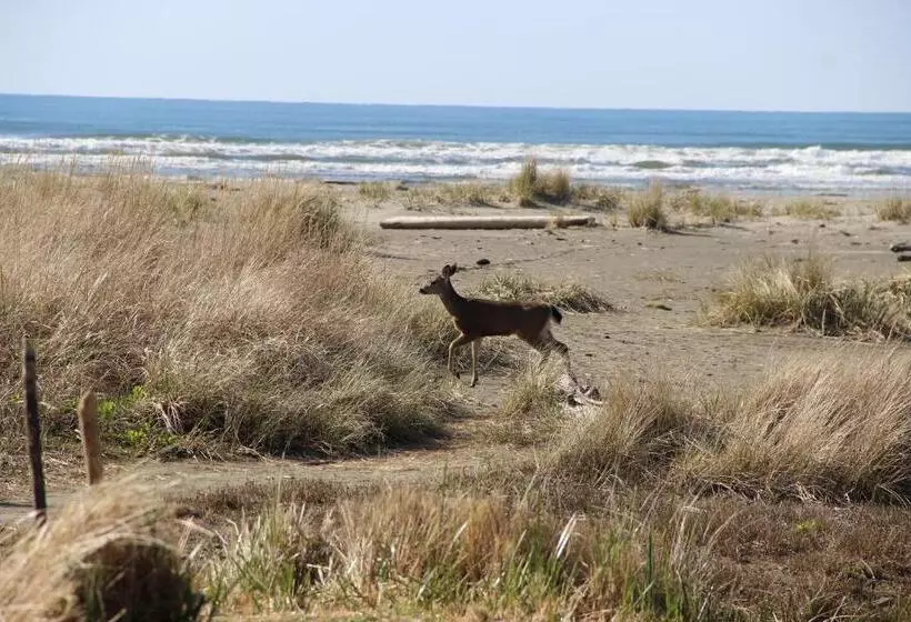酒店 Quinault Beach Resort & Casino