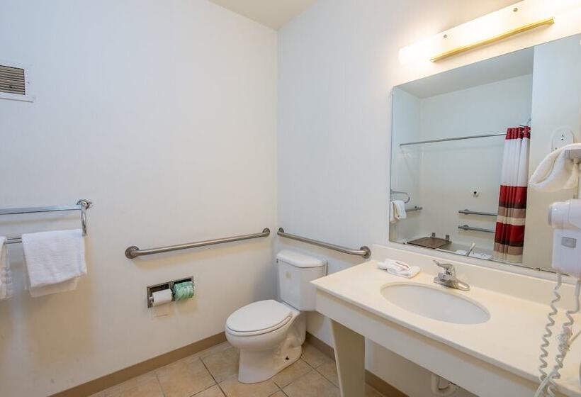 酒店 Red Roof Inn & Suites Indianapolis Airport