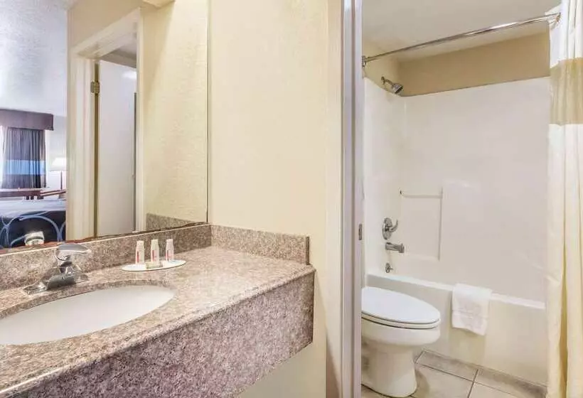 ホテル Super 8 By Wyndham San Antonio At I10