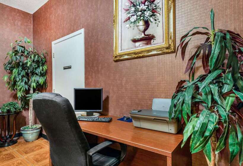 בית מלון כפרי Super 8 By Wyndham San Antonio At I10