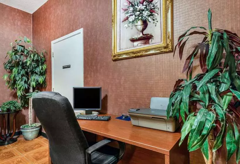 ホテル Super 8 By Wyndham San Antonio At I10