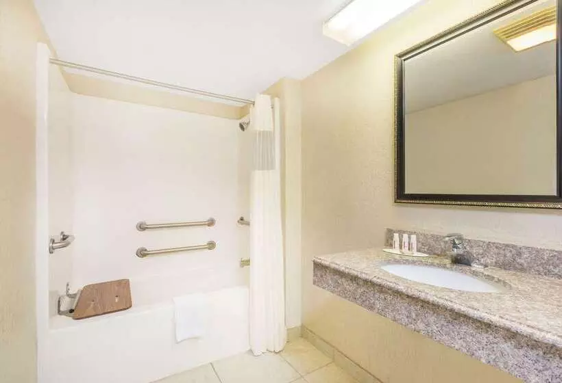 ホテル Super 8 By Wyndham San Antonio At I10