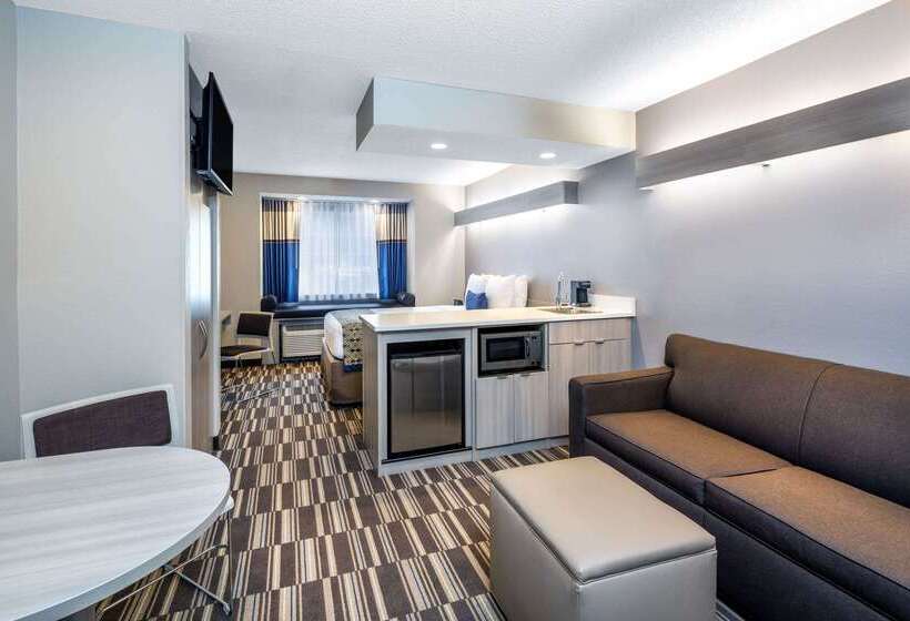 Microtel Inn & Suites By Wyndham Atlanta Buckhead Area