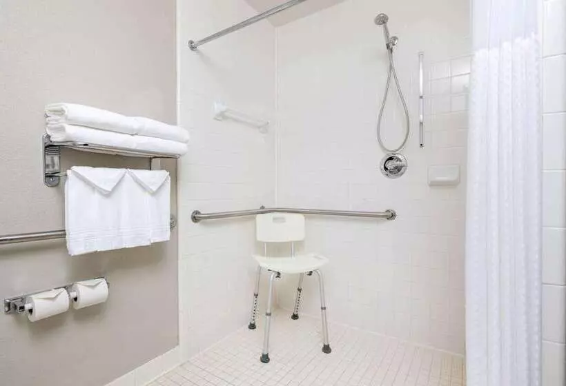 Microtel Inn & Suites By Wyndham Atlanta Buckhead Area