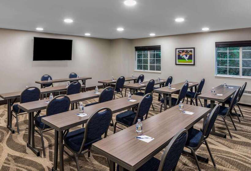 Microtel Inn & Suites By Wyndham Atlanta Buckhead Area