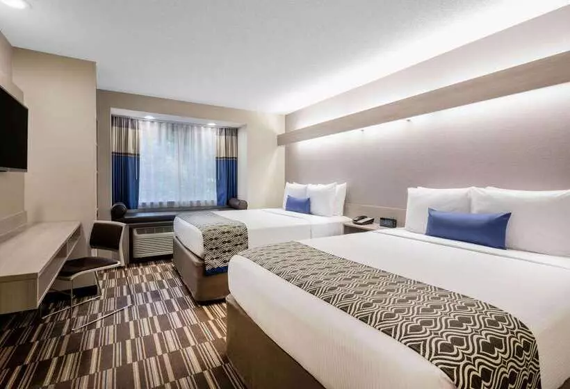 Microtel Inn & Suites By Wyndham Atlanta Buckhead Area