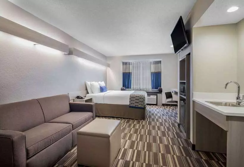 Microtel Inn & Suites By Wyndham Atlanta Buckhead Area