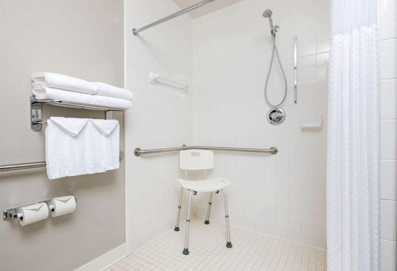 Microtel Inn & Suites By Wyndham Atlanta Buckhead Area