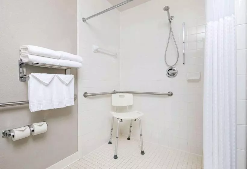 Microtel Inn & Suites By Wyndham Atlanta Buckhead Area