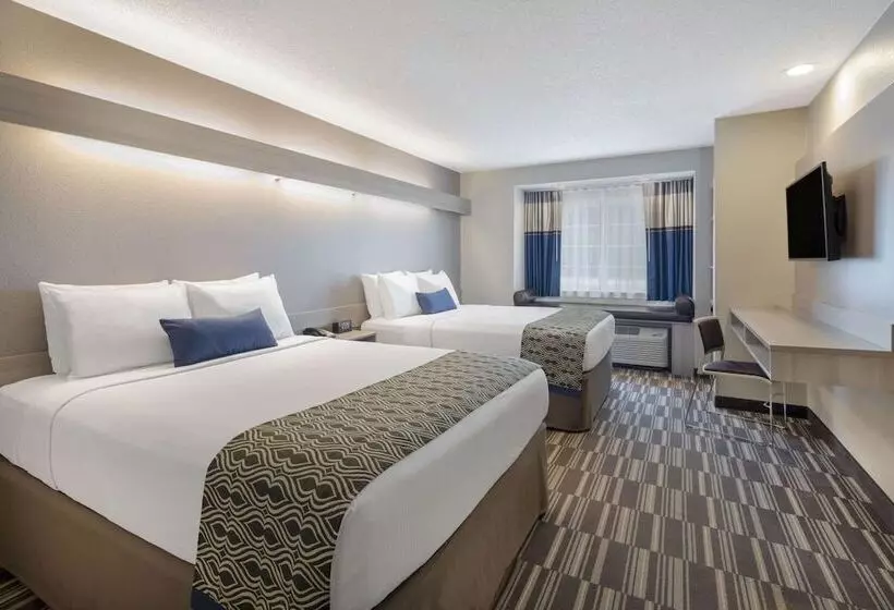 Microtel Inn & Suites By Wyndham Atlanta Buckhead Area