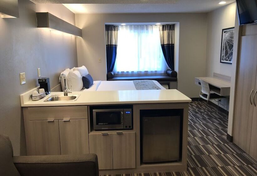 Microtel Inn & Suites By Wyndham Atlanta Buckhead Area