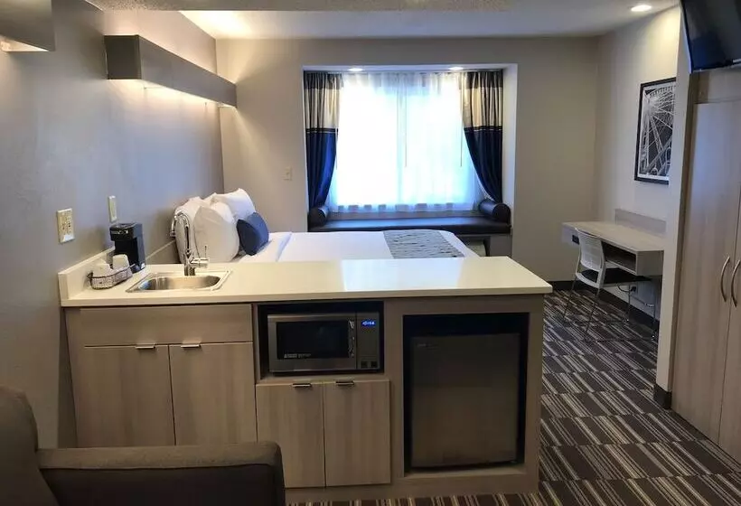 Microtel Inn & Suites By Wyndham Atlanta Buckhead Area