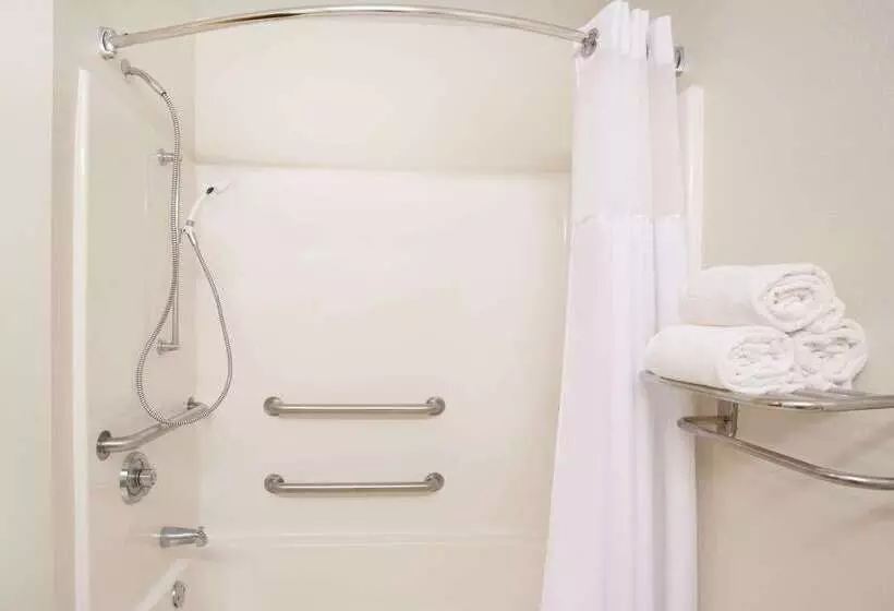 Microtel Inn & Suites By Wyndham Leesburg/mt Dora