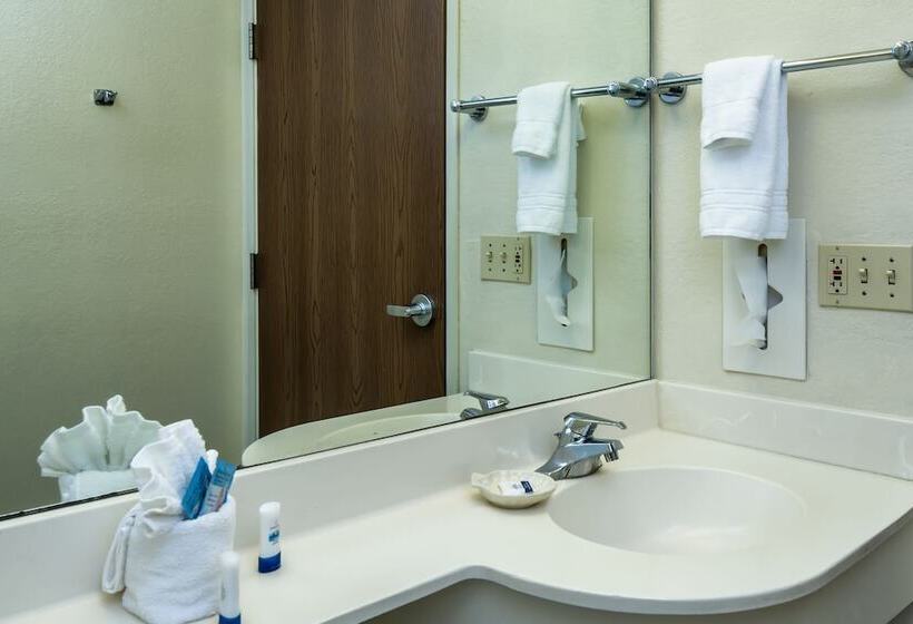 Microtel Inn & Suites By Wyndham Leesburg/mt Dora