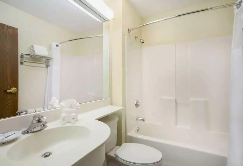 Microtel Inn & Suites By Wyndham Leesburg/mt Dora