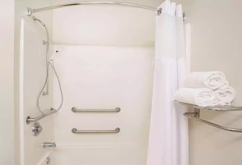 Microtel Inn & Suites By Wyndham Leesburg/mt Dora