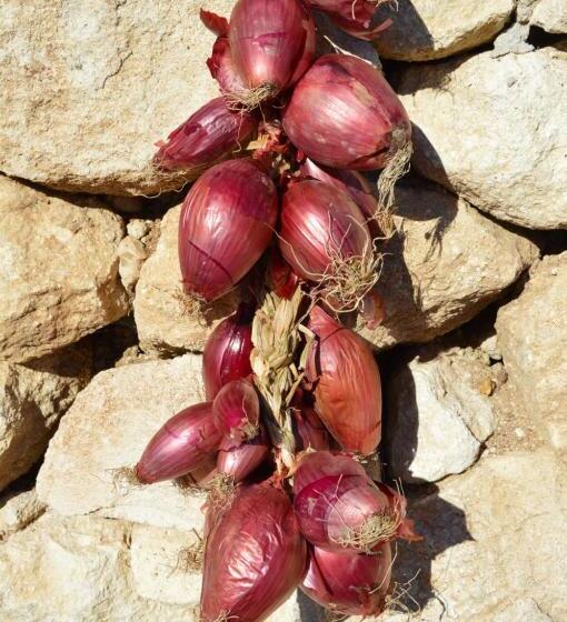 Azienda Agrituristica Carida