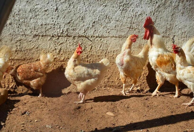 Azienda Agrituristica Carida