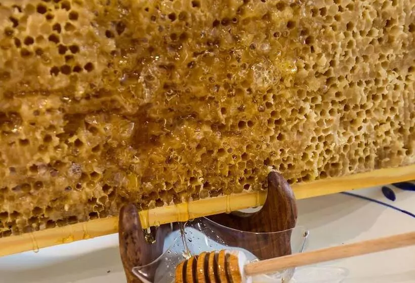 B&b Honey Spa