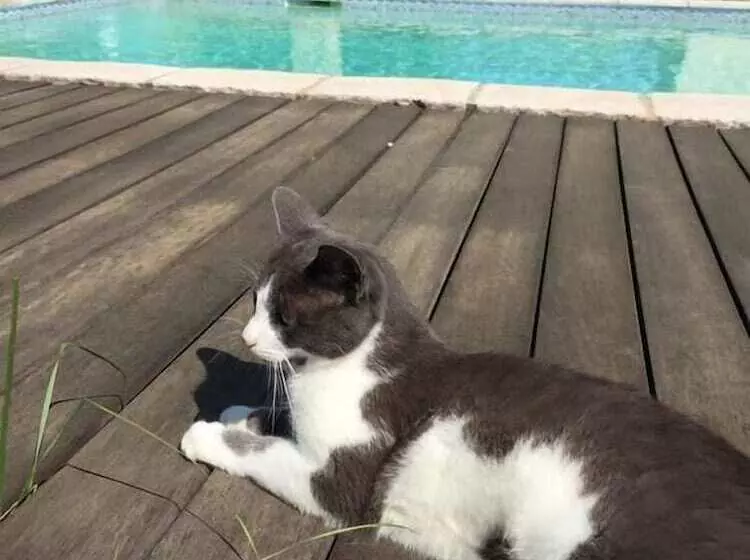 Aamiaismajoitus (B&B) La Chouette Villa