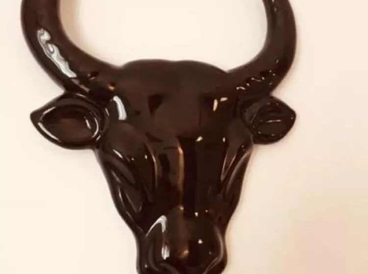 Aamiaismajoitus (B&B) La Chouette Villa