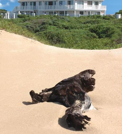 Bed & Breakfast The Beach House