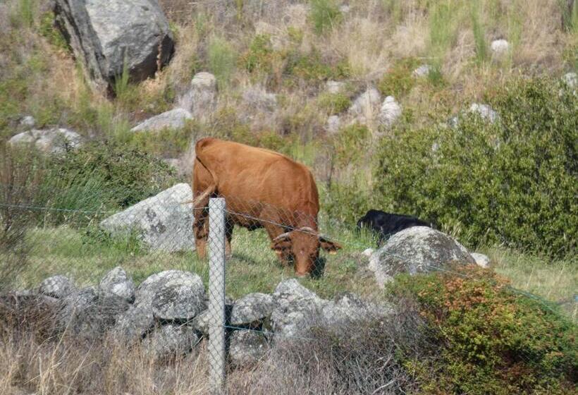 Casas Do Durão Memories House