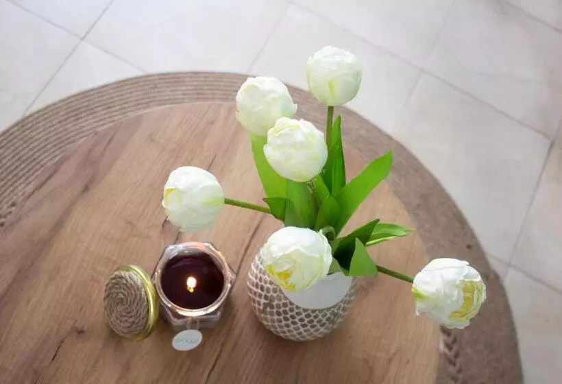 Hotelli Meteor Family