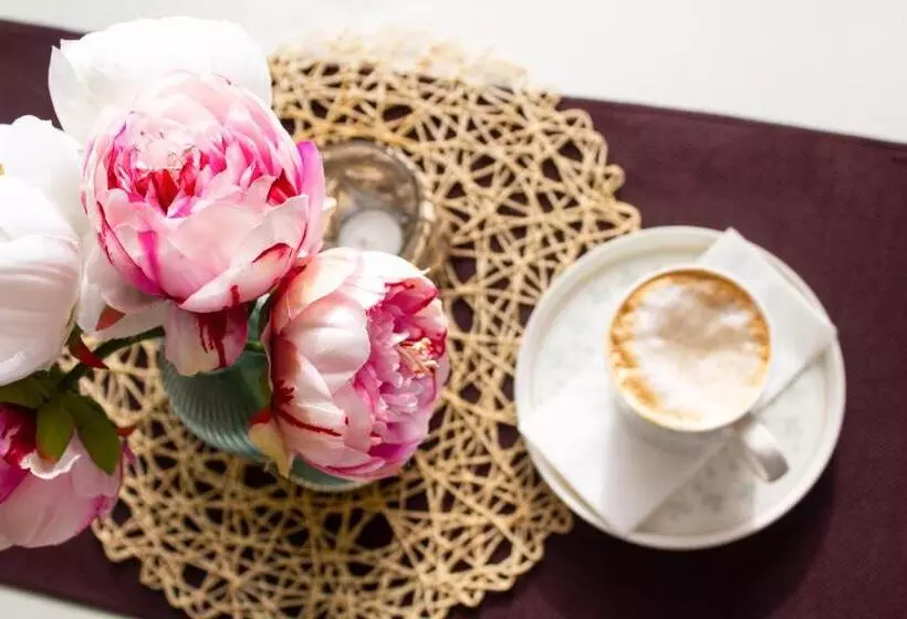 Hotelli Meteor Family