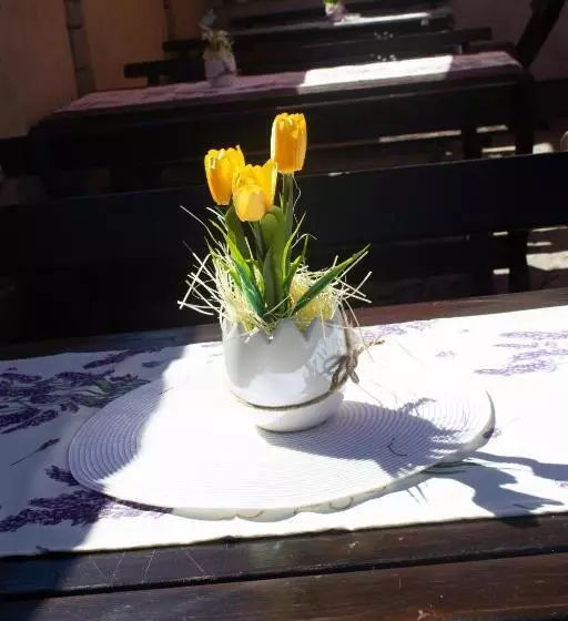 Hotelli Meteor Family