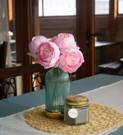 Hotelli Meteor Family