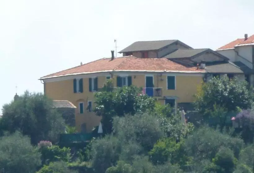 田舎風ホテル Agriturismo Il Poggio Di Vasia Citr00864 Agr 0001