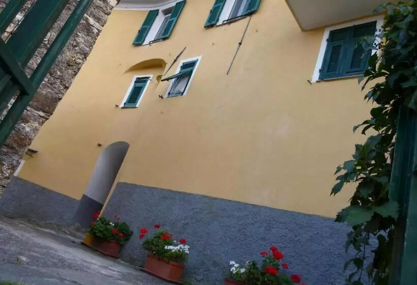 田舎風ホテル Agriturismo Il Poggio Di Vasia Citr00864 Agr 0001