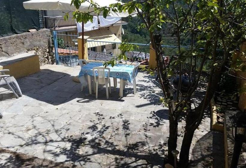 Сельский отель Agriturismo Il Poggio Di Vasia Citr00864 Agr 0001