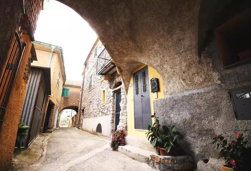 田舎風ホテル Agriturismo Il Poggio Di Vasia Citr00864 Agr 0001