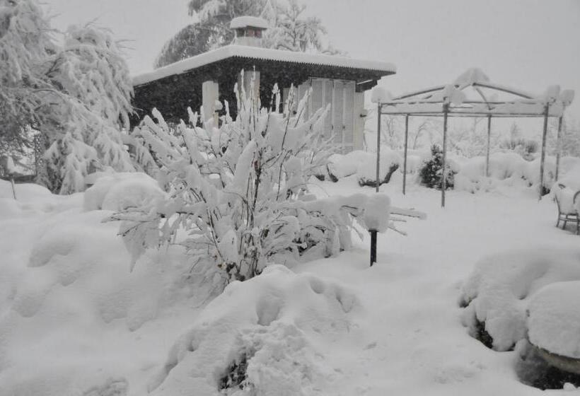 田舎風ホテル Premiata Osteria Dei Fiori