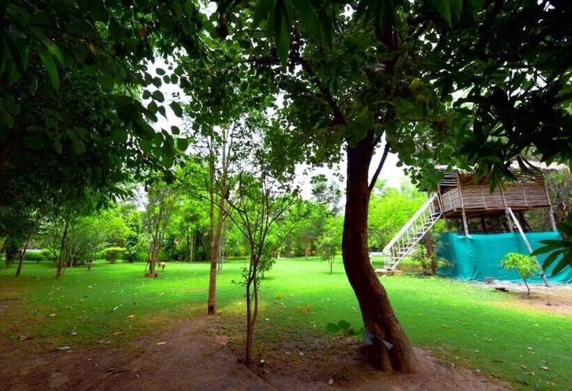 Отель Vraksh Resort