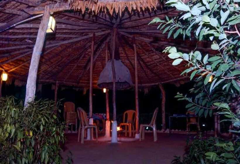 Отель Vraksh Resort