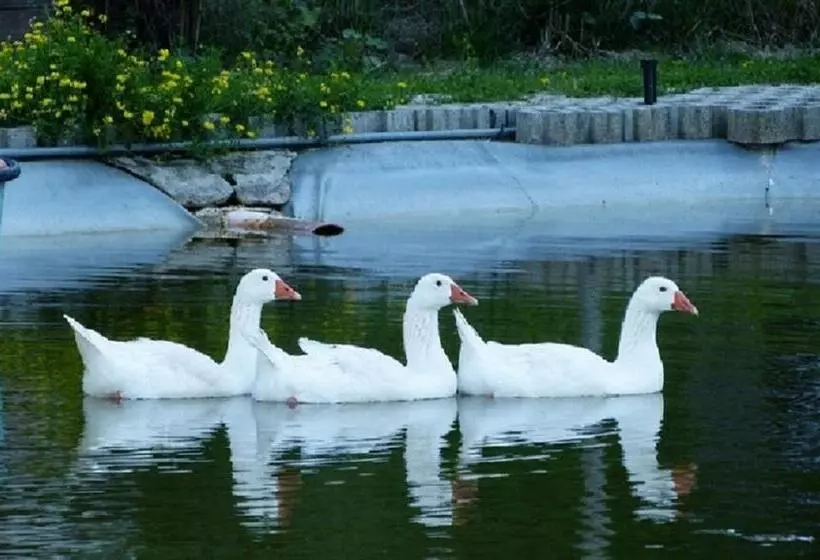 B&b Lanterna Delle Fate Cascina Piemontese And Pool For Exclusive Use