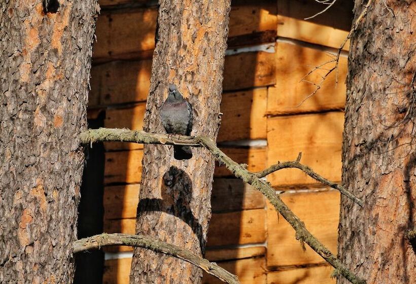 פנסיון Arkhiz City Guest House