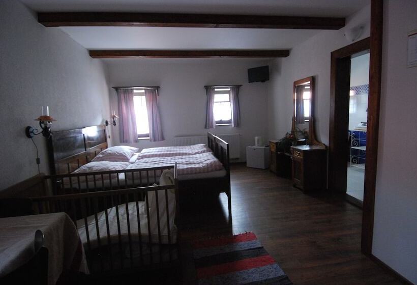 ペンション Penzión Starý Hostinec